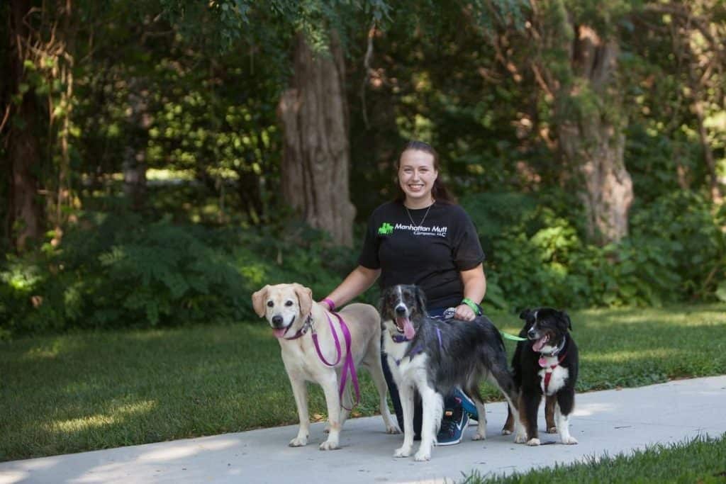 A person is kneeling outdoors on a paved path with three dogs on leashes. The dogs are of different breeds and colors, and the person is smiling. Behind them, there are trees and greenery. The person is wearing a black t-shirt and shorts.