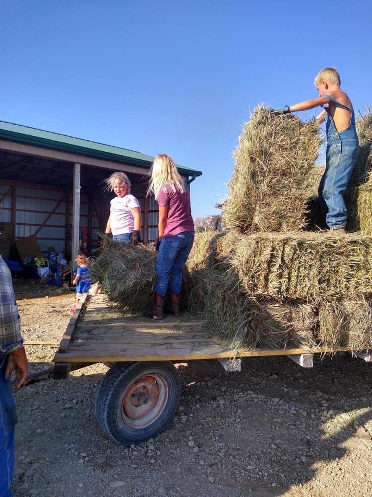 A group of children is stacking hay bales on a flatbed trailer outside a barn on a sunny day. One child is on top arranging the bales, while two others are on the trailer, one lifting and the other guiding. The scene has a rural, farm-like setting.